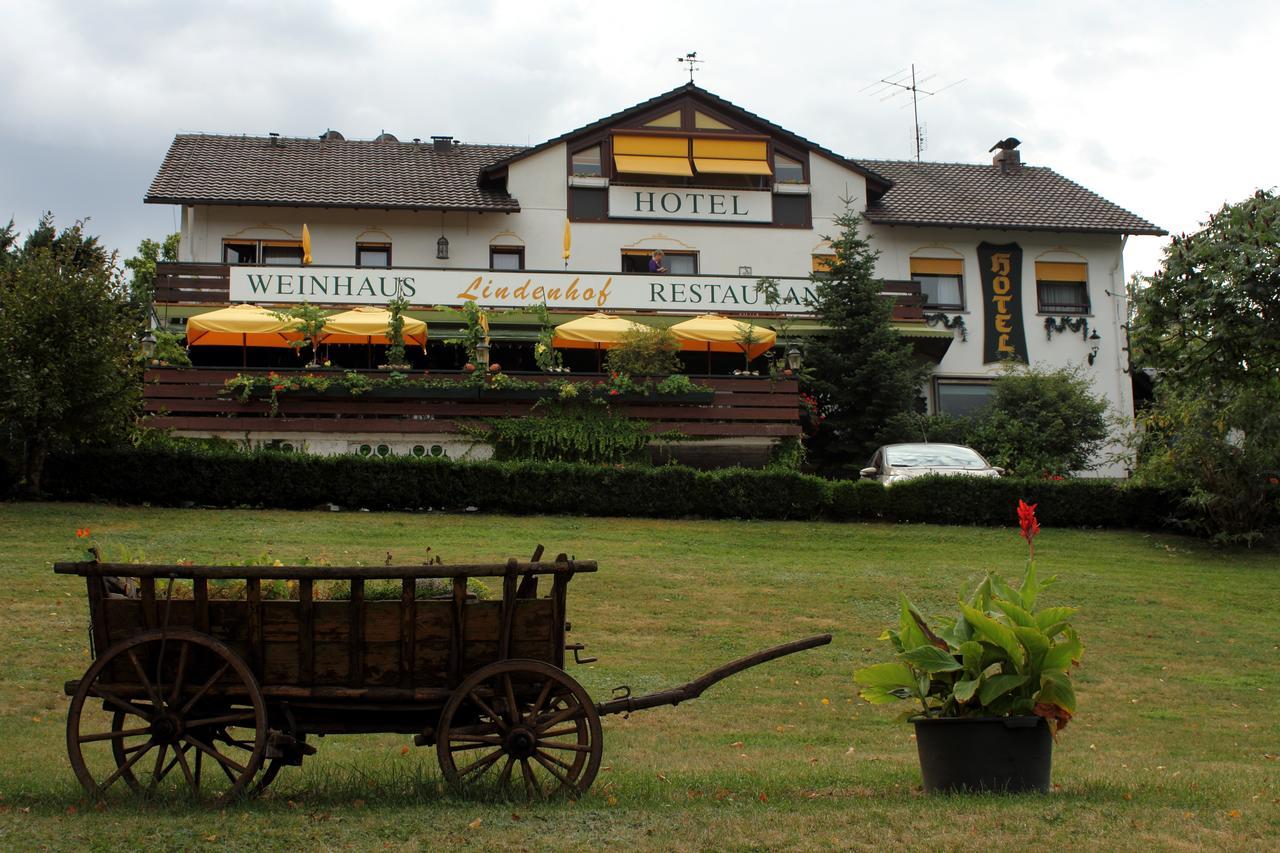 Hotel-Restaurant Lindenhof Kreuzwertheim Dış mekan fotoğraf